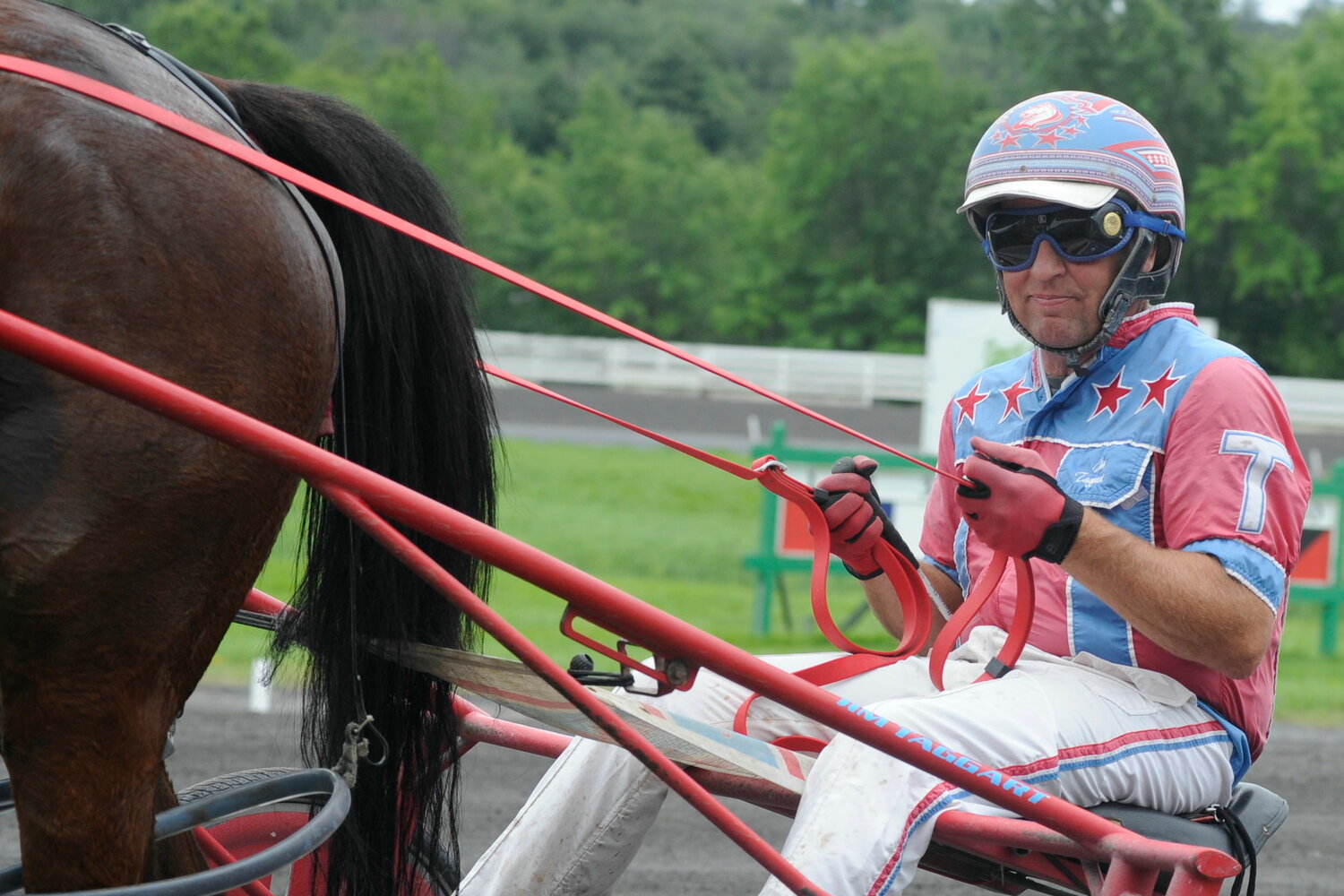 Jim Taggart Jr. drove YS Sunshine into the winner’s circle during the fifth race on August 17. It was a 1-mile pace with a field of eight.